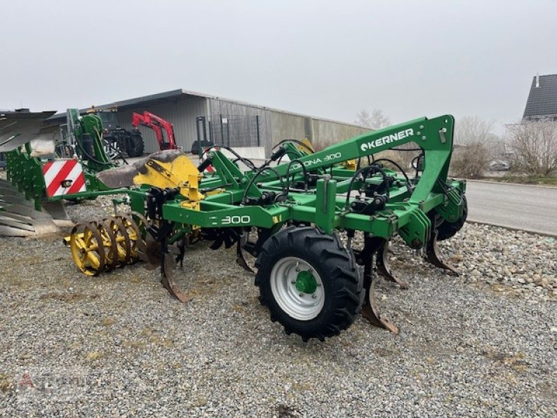 Grubber van het type Kerner Corona C 300, Gebrauchtmaschine in Riedhausen (Foto 1)