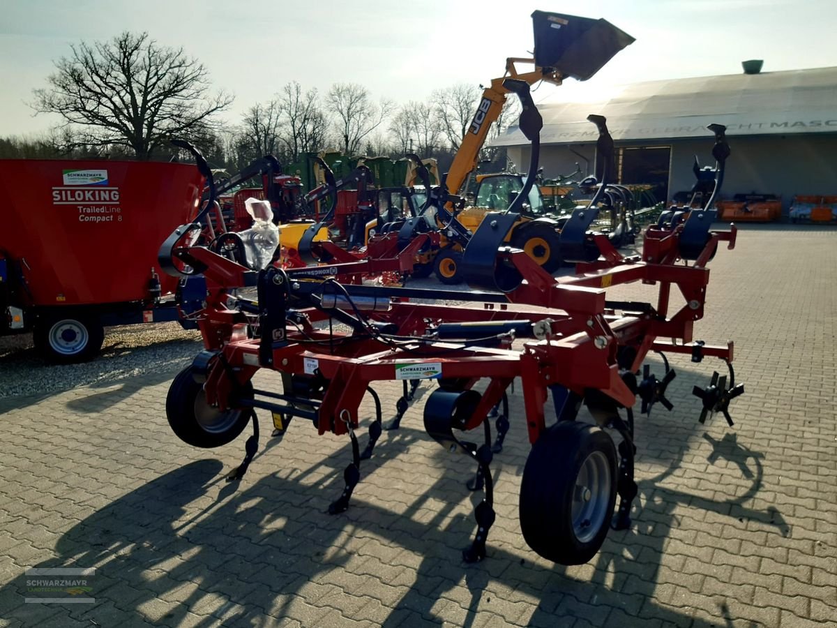 Grubber tip Kongskilde VFM 4319, Neumaschine in Aurolzmünster (Poză 3)