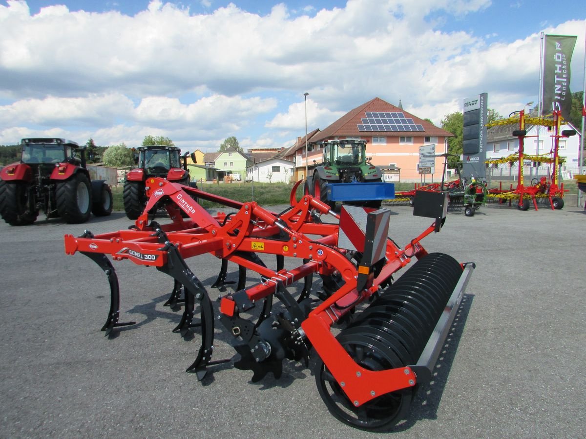 Grubber van het type Kuhn Cultimer L 300 T, Gebrauchtmaschine in Saxen (Foto 15)