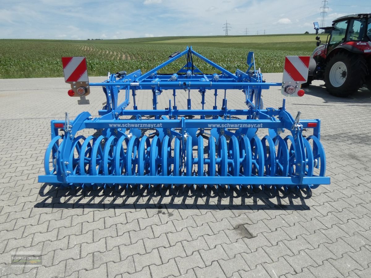 Grubber del tipo Lemken Karat 10/300 U MSW600, Neumaschine en Aurolzmünster (Imagen 4)