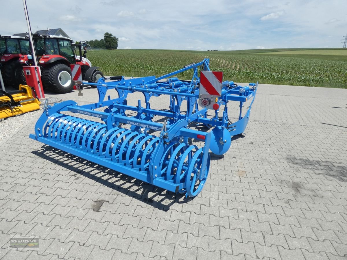 Grubber a típus Lemken Karat 10/300 U MSW600, Neumaschine ekkor: Aurolzmünster (Kép 3)