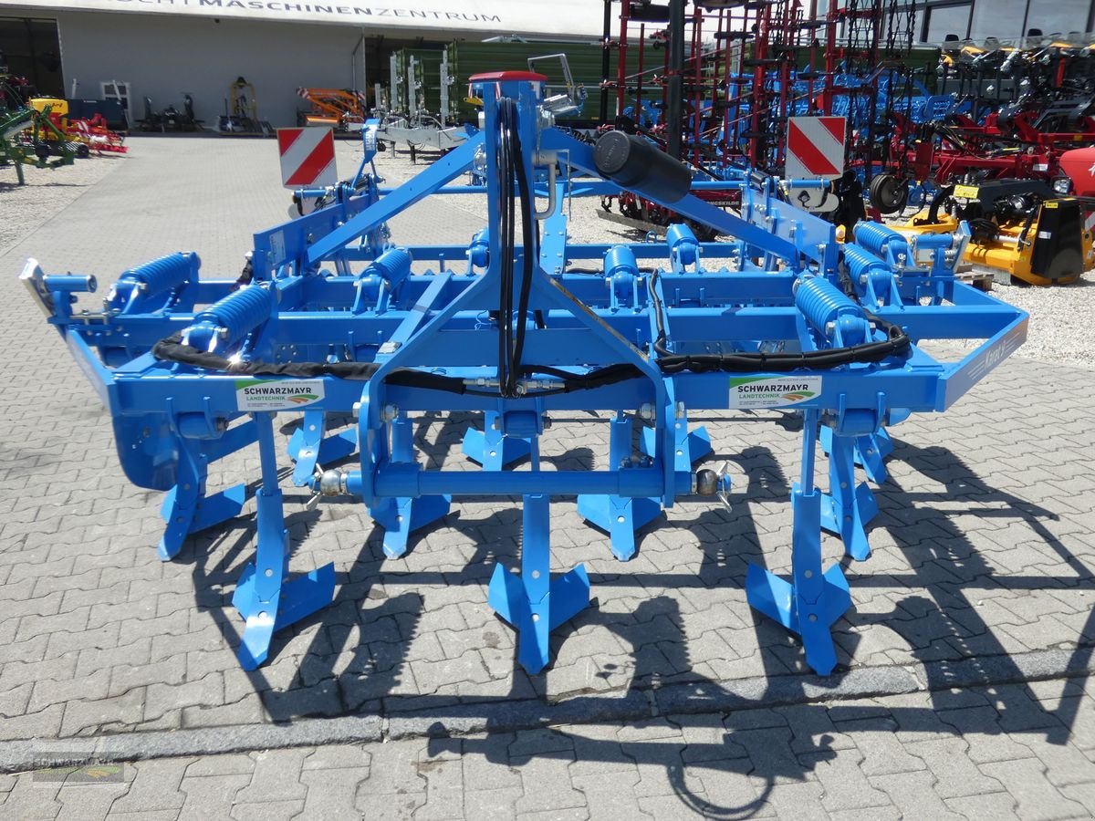 Grubber typu Lemken Karat 10/300 U MSW600, Neumaschine w Aurolzmünster (Zdjęcie 9)