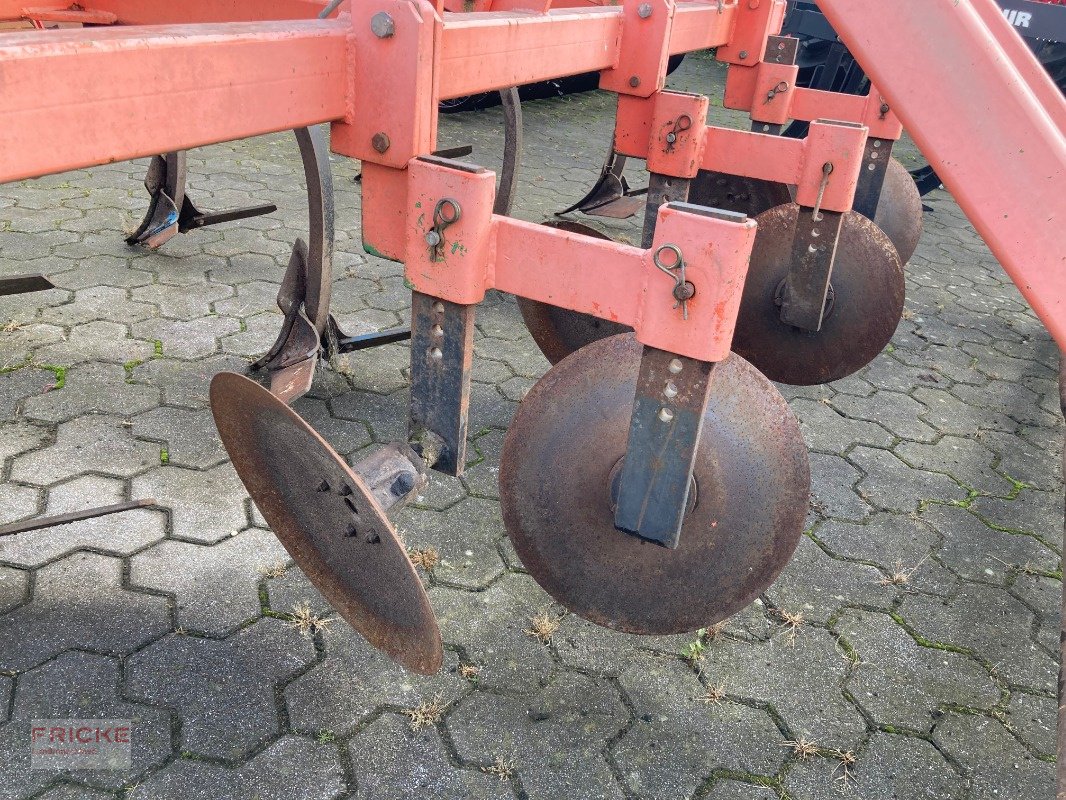 Grubber des Typs Maschio 3 mtr., Gebrauchtmaschine in Bockel - Gyhum (Bild 4)