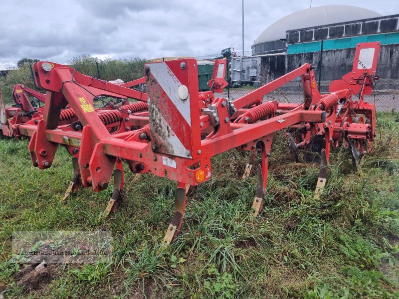 Grubber типа Maschio Gaspardo Terremoto 300, Gebrauchtmaschine в Burg/Spreewald