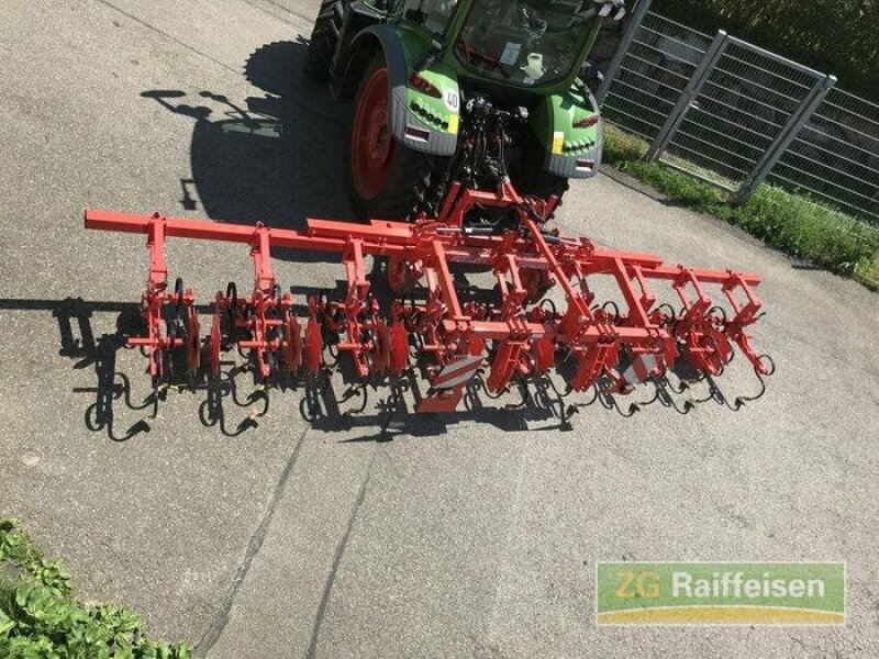 Grubber del tipo Maschio HS 8, Gebrauchtmaschine en Waldshut-Tiengen (Imagen 4)