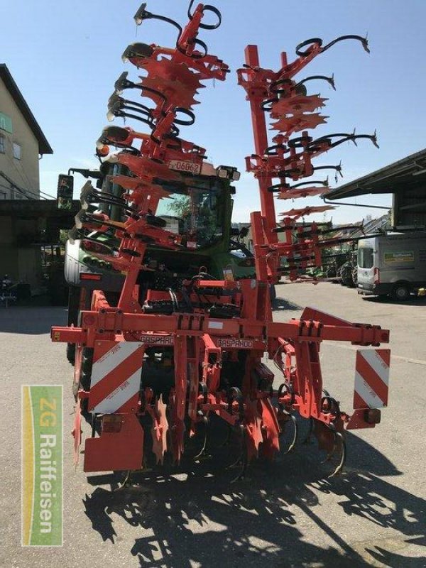 Grubber del tipo Maschio HS 8, Gebrauchtmaschine en Waldshut-Tiengen (Imagen 2)