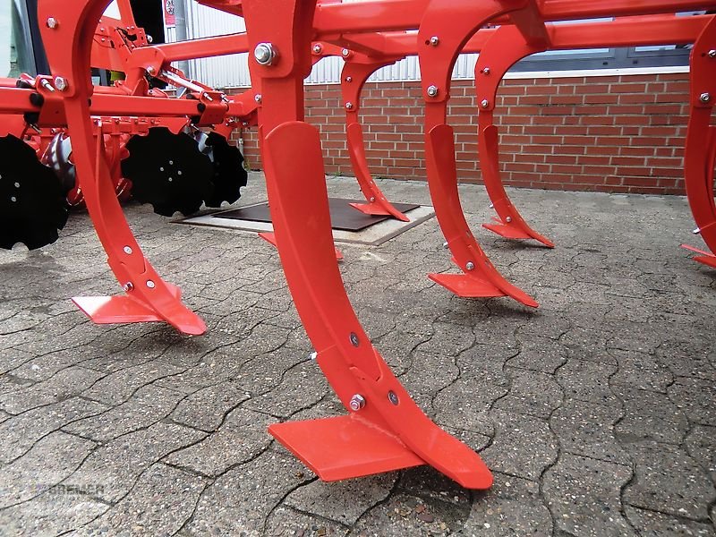 Grubber za tip Maschio TERREMOTO 3-300 mit Dachringwalze, Gebrauchtmaschine u Asendorf (Slika 14)