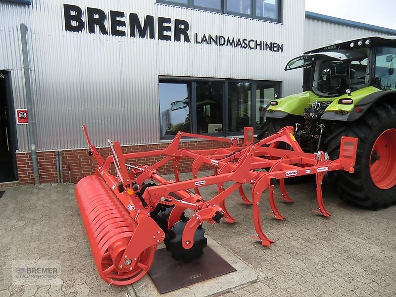 Grubber Türe ait Maschio TERREMOTO 3-300 mit Dachringwalze, Gebrauchtmaschine içinde Asendorf (resim 1)