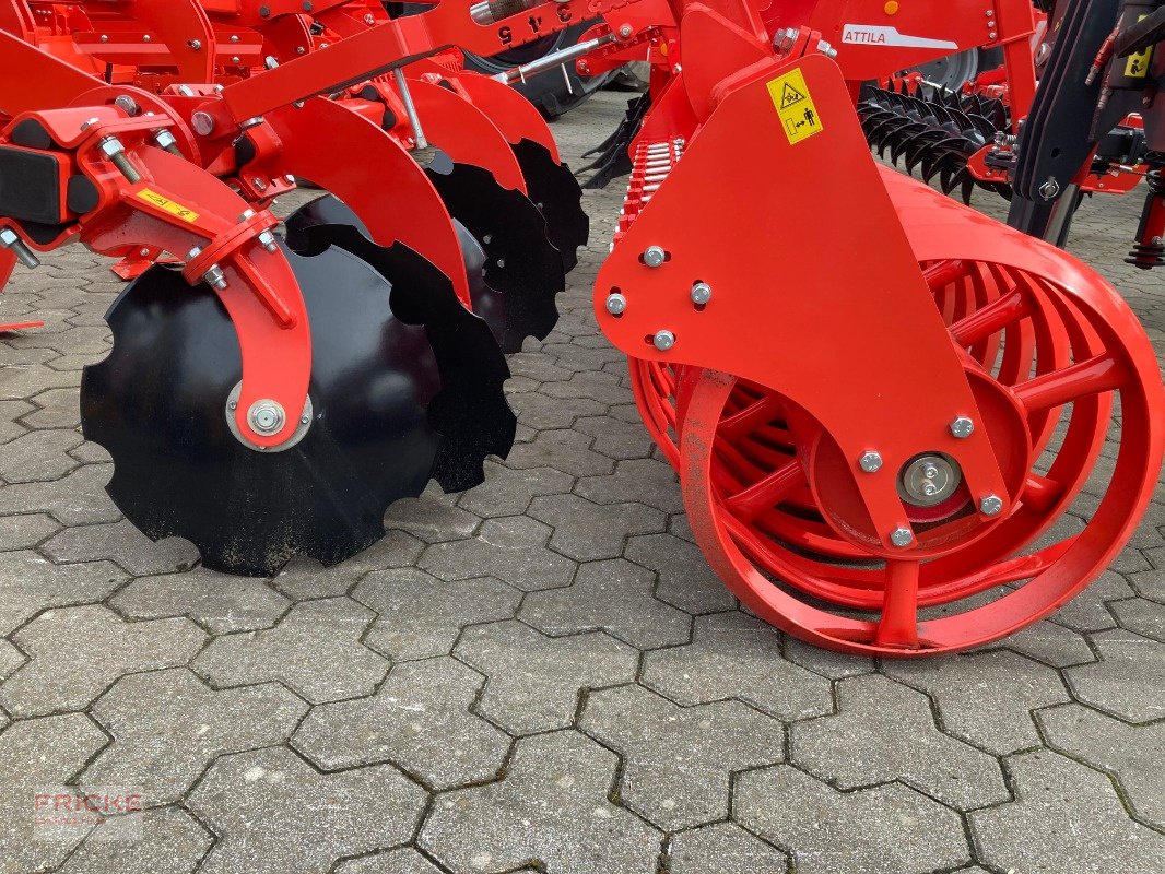 Grubber typu Maschio Terremoto 3 300 Scherbolzen, Neumaschine v Bockel - Gyhum (Obrázek 7)