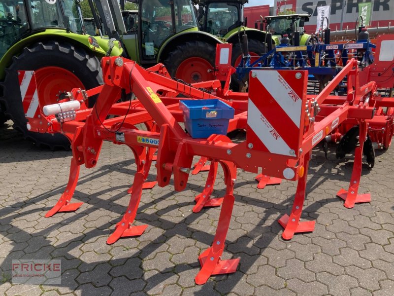 Grubber του τύπου Maschio Terremoto 3 300 Scherbolzen, Neumaschine σε Bockel - Gyhum (Φωτογραφία 1)