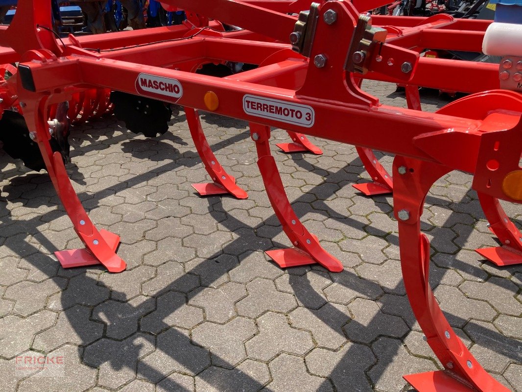 Grubber del tipo Maschio Terremoto 3 300 Scherbolzen, Neumaschine en Bockel - Gyhum (Imagen 4)