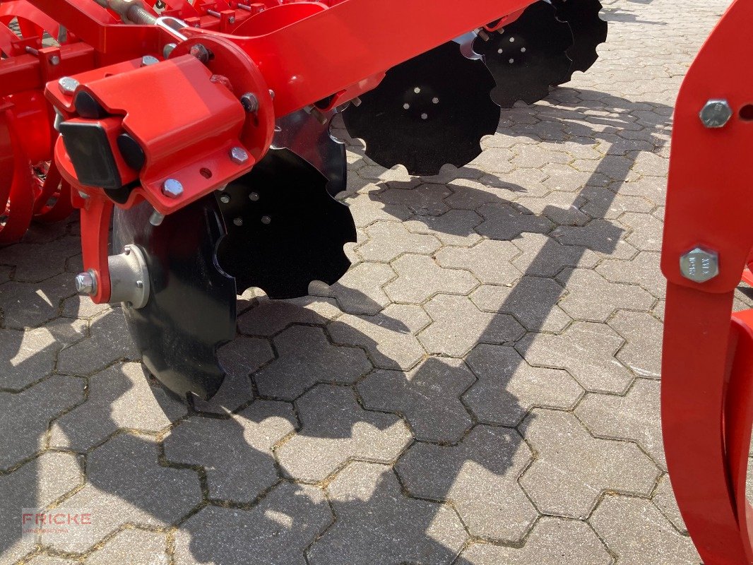 Grubber van het type Maschio Terremoto 3 300 Scherbolzen, Neumaschine in Bockel - Gyhum (Foto 5)