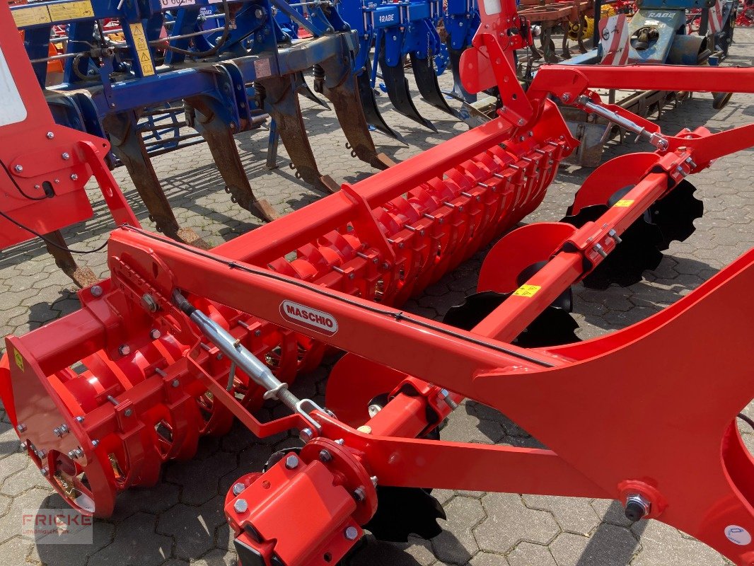 Grubber of the type Maschio Terremoto 3 300 Scherbolzen, Neumaschine in Bockel - Gyhum (Picture 7)