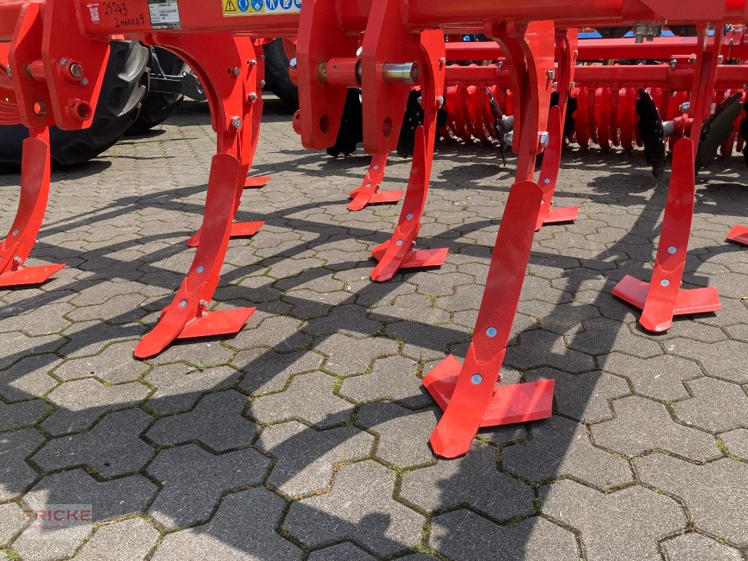 Grubber tipa Maschio Terremoto 3 300 Scherbolzen, Neumaschine u Bockel - Gyhum (Slika 2)