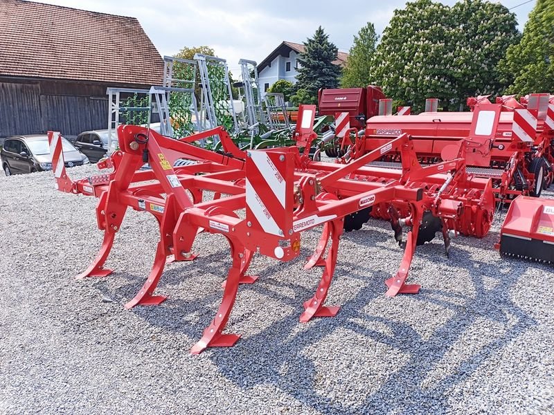 Grubber del tipo Maschio Terremoto 3 300 Schwergrubber, Neumaschine In St. Marienkirchen (Immagine 10)