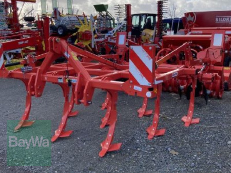 Grubber del tipo Maschio TERREMOTO 3 300, Neumaschine en Eggenfelden (Imagen 1)