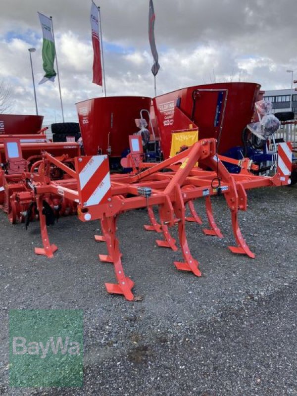 Grubber типа Maschio TERREMOTO 3 300, Neumaschine в Eggenfelden (Фотография 2)