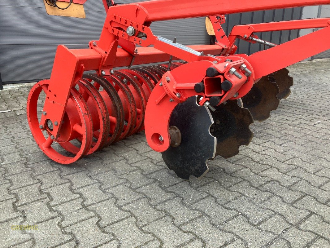 Grubber tipa Maschio Terremoto, Gebrauchtmaschine u Wettringen (Slika 6)