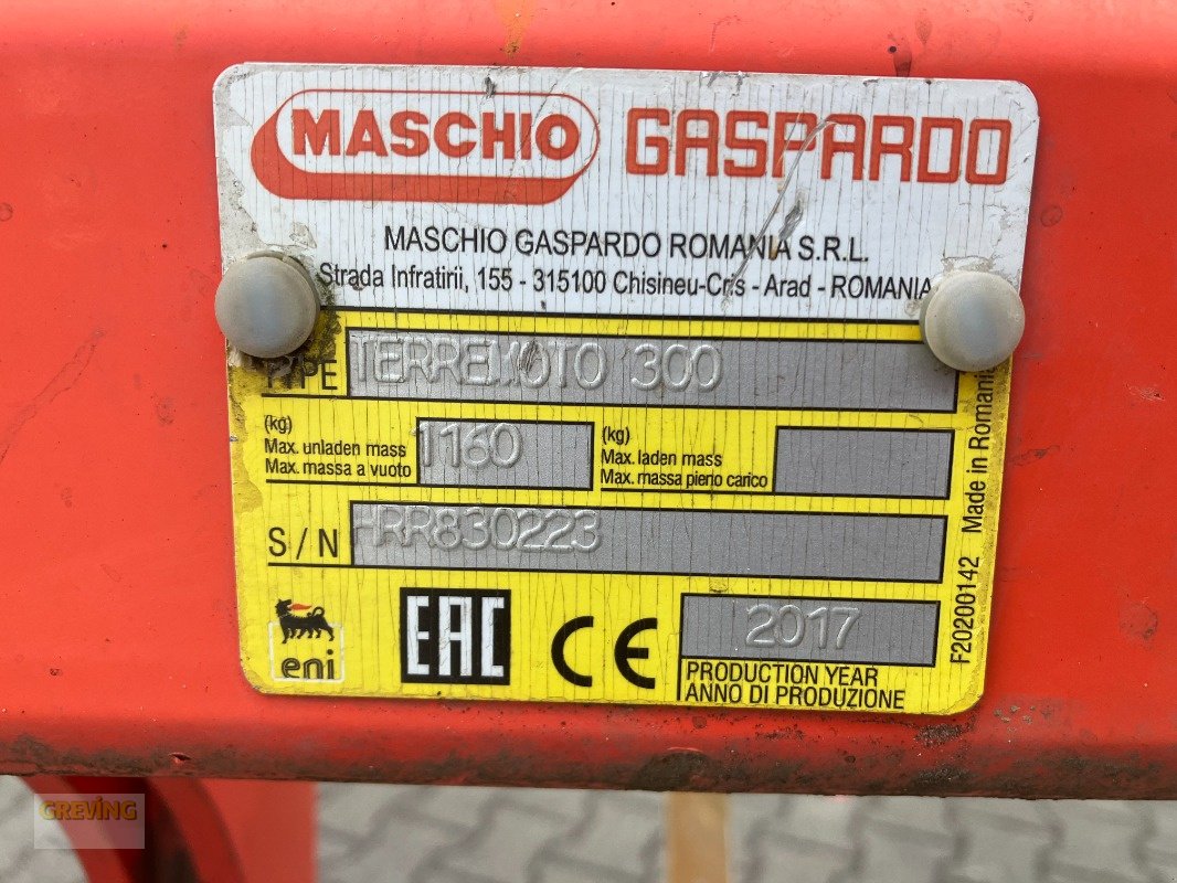 Grubber del tipo Maschio Terremoto, Gebrauchtmaschine en Wettringen (Imagen 8)