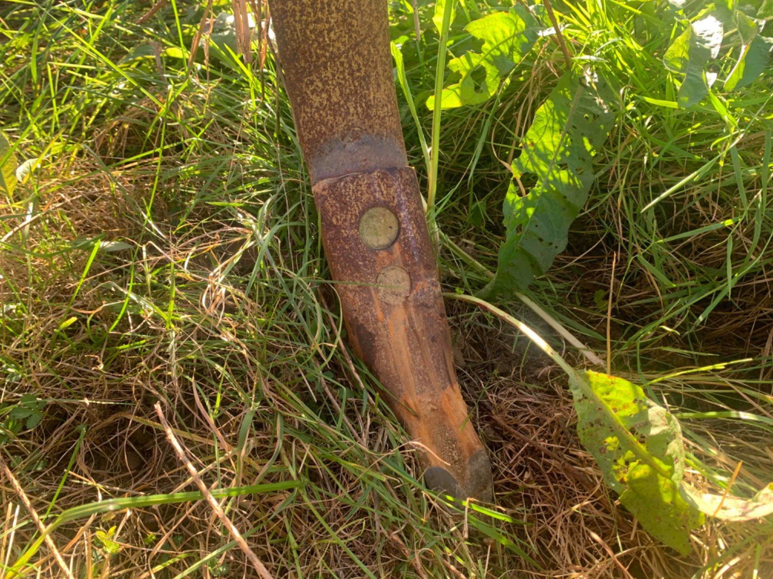 Grubber typu Pöttinger SYNKRO, Gebrauchtmaschine v ORLEIX (Obrázek 8)