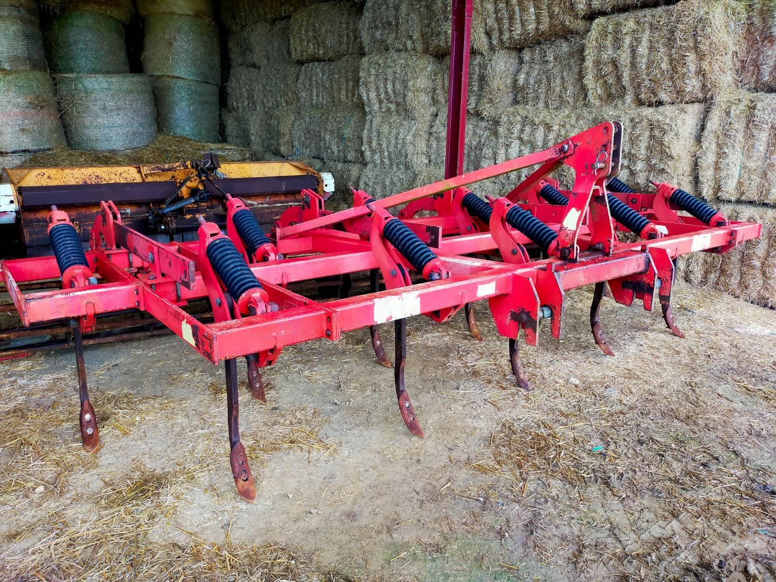 Grubber del tipo Rau POLYMAG, Gebrauchtmaschine en Noyen sur Sarthe (Imagen 1)