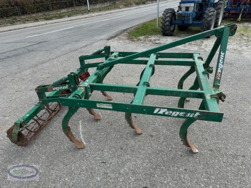 Grubber van het type Regent 2000, Gebrauchtmaschine in Münzkirchen (Foto 2)