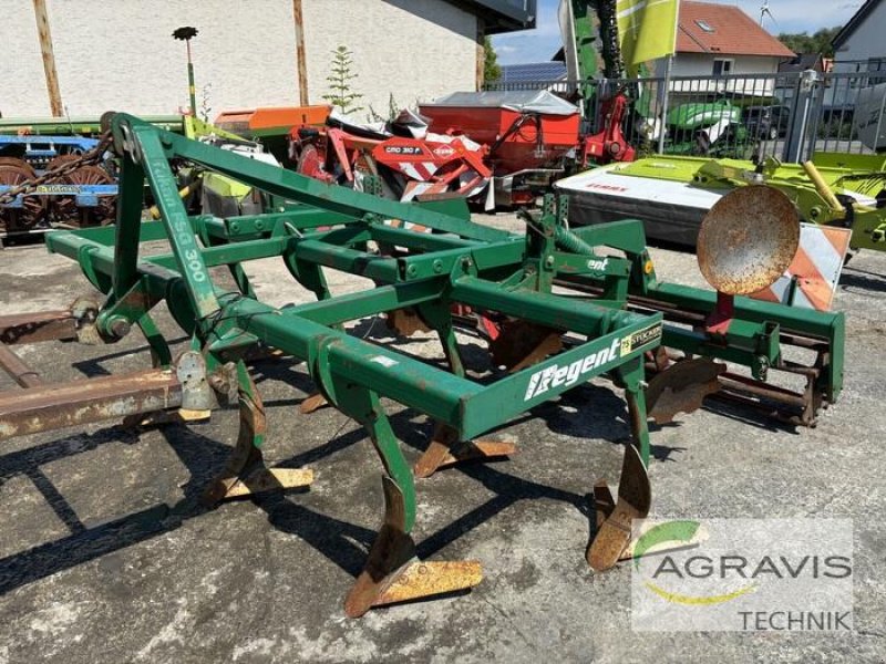 Grubber a típus Regent FSG 300 S, Gebrauchtmaschine ekkor: Werl-Oberbergstraße (Kép 1)