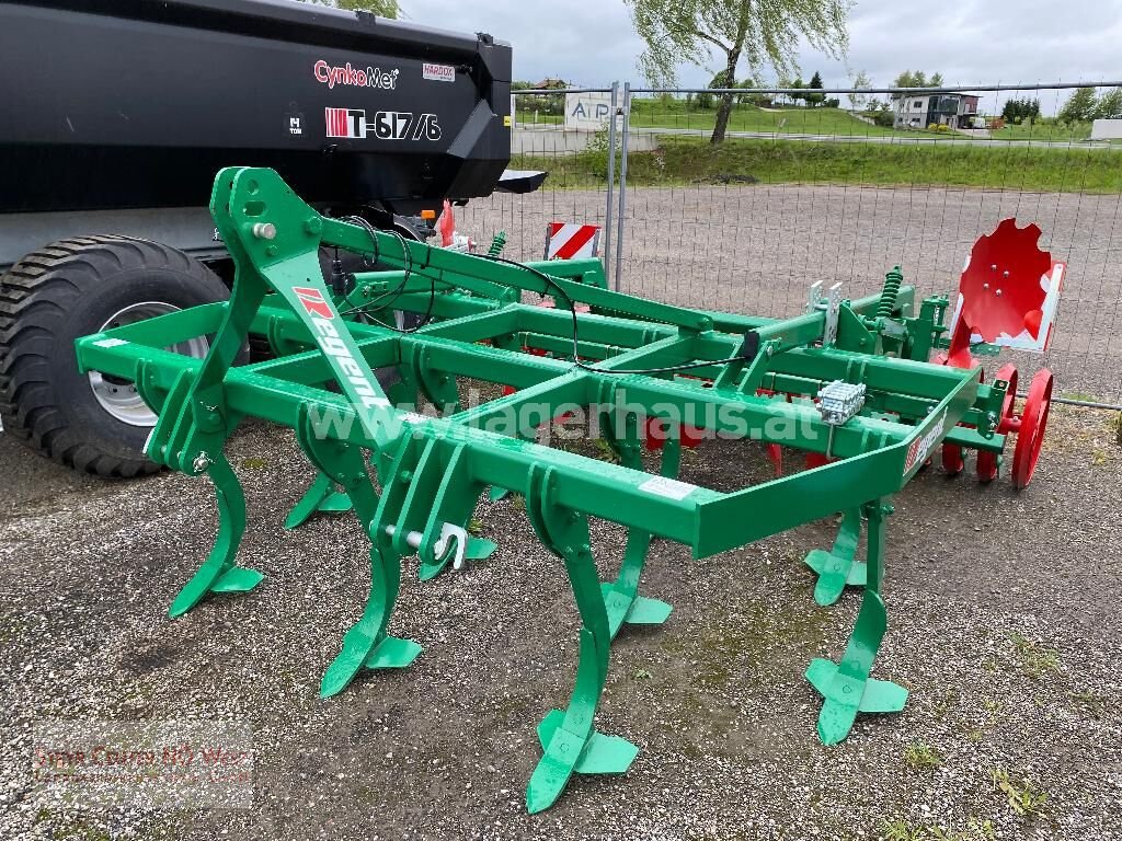 Grubber des Typs Regent MSG 300, Neumaschine in Purgstall (Bild 1)