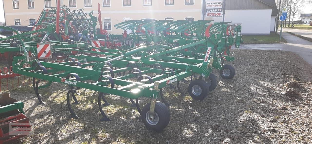 Grubber typu Regent Terrakan 6000 R 6 Bio, Neumaschine w Wlpertskirchen (Zdjęcie 3)