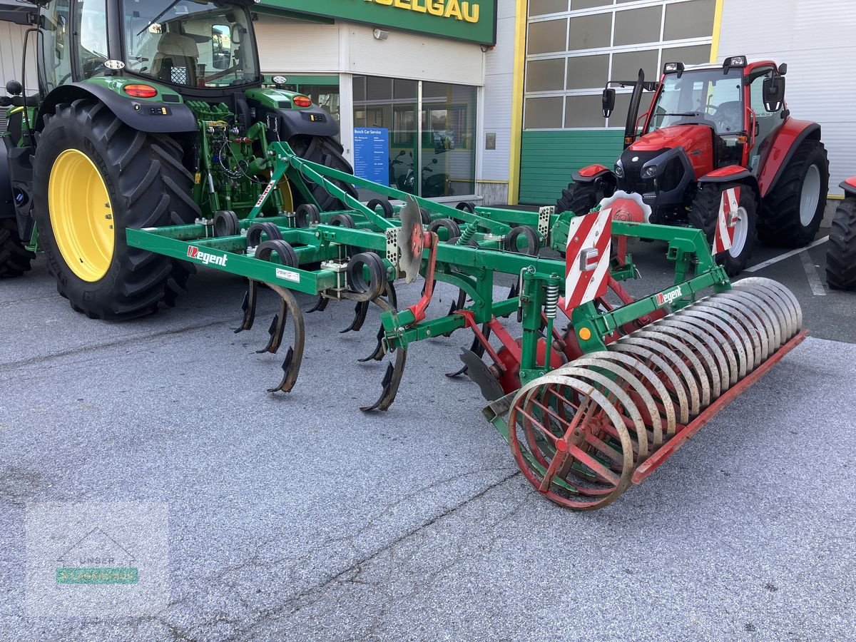 Grubber van het type Regent Tucan VFG 300, Gebrauchtmaschine in Hartberg (Foto 5)