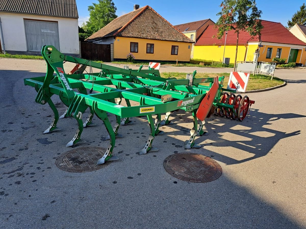 Grubber tip Regent Tukan  DSG 300, Gebrauchtmaschine in Starrein (Poză 1)