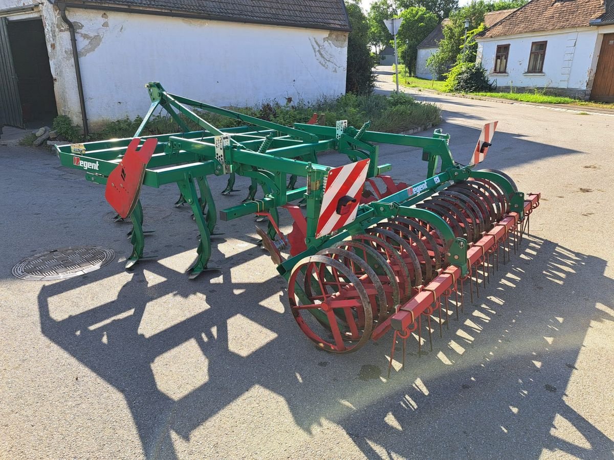 Grubber tipa Regent Tukan  DSG 300, Gebrauchtmaschine u Starrein (Slika 4)