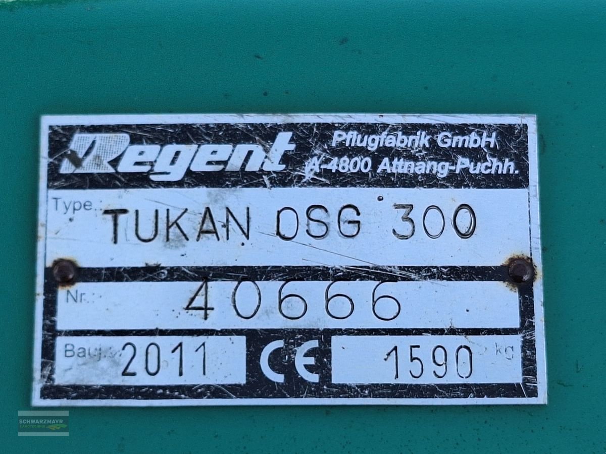 Grubber Türe ait Regent Tukan OSG 300, Gebrauchtmaschine içinde Gampern (resim 23)