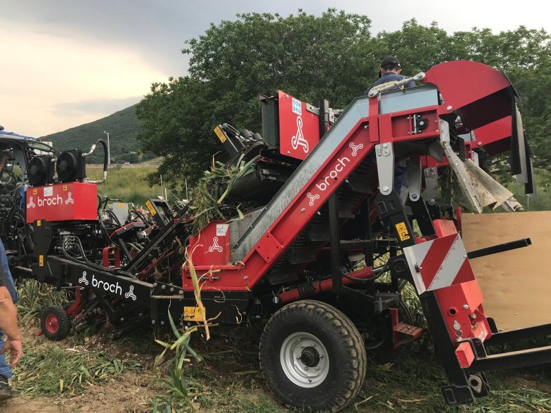 Grubber typu Sonstige Arracheuse ARCO 3 3 Rangs JJ BROCH, Gebrauchtmaschine v ROYNAC (Obrázok 1)