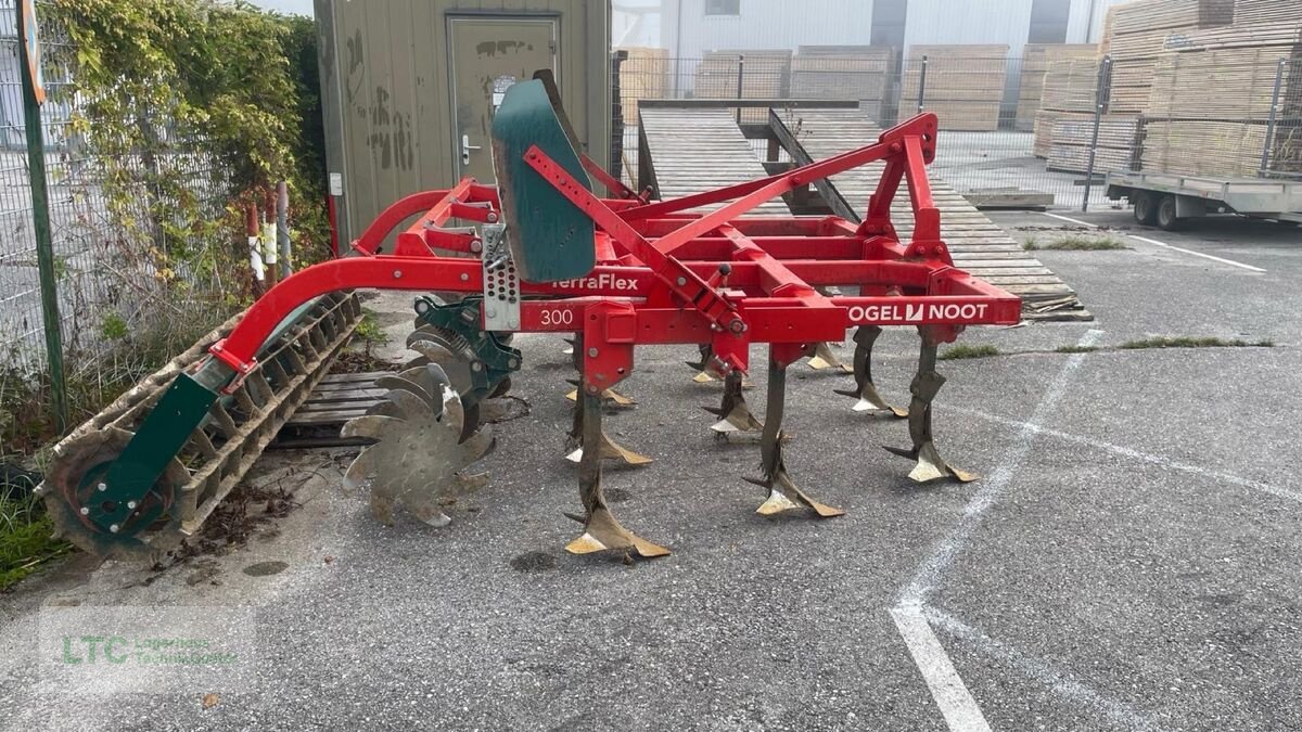 Grubber typu Vogel & Noot Terra Flex, Gebrauchtmaschine w Eggendorf (Zdjęcie 6)