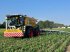 Gülleselbstfahrer типа CLAAS Xerion 4200 ST, Gebrauchtmaschine в Hollenbach (Фотография 5)