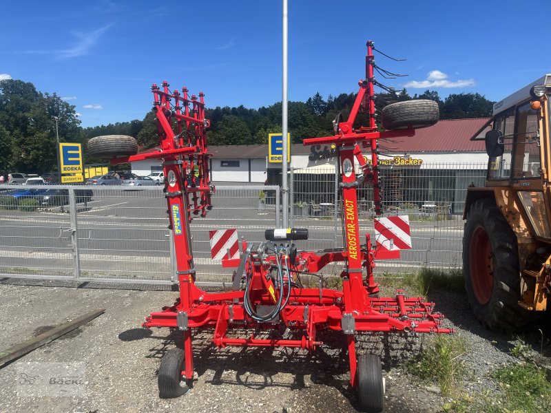 Hackstriegel del tipo Einböck Aerostar-Exact 600, Gebrauchtmaschine en Erbendorf (Imagen 1)