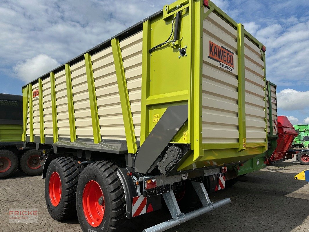 Häcksel Transportwagen van het type Kaweco Radium 250 S, Neumaschine in Bockel - Gyhum (Foto 13)