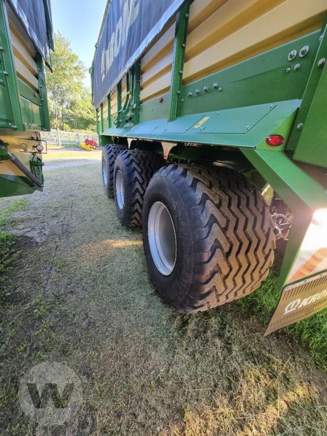 Häcksel Transportwagen typu Krone TX 560 D, Neumaschine v Börm (Obrázok 4)