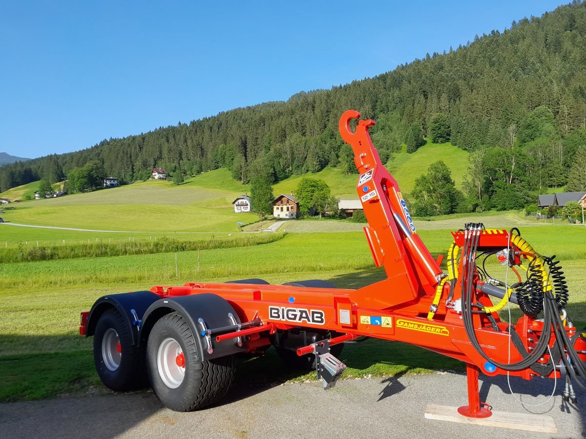 Hakenwagen du type BigAb 12-15, Neumaschine en Gosau am Dachstein (Photo 4)