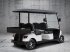 Heckcontainer tipa ICOCAR Shuttle 4 Cargo 3.0 LITHIUM Transportcar der Sonderklasse ICO CAR, Neumaschine u Wien (Slika 2)