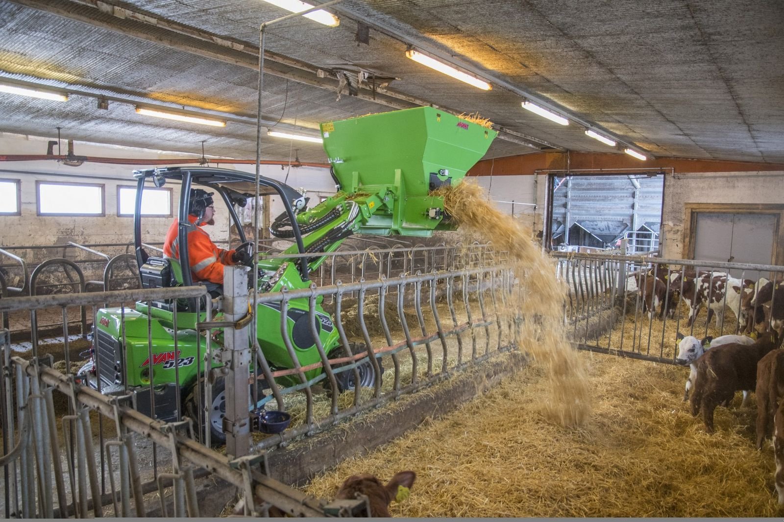 Hoflader a típus Avant Avant 523 Multifunktionslader - AKTION, Neumaschine ekkor: Waidhofen an der Thaya (Kép 10)