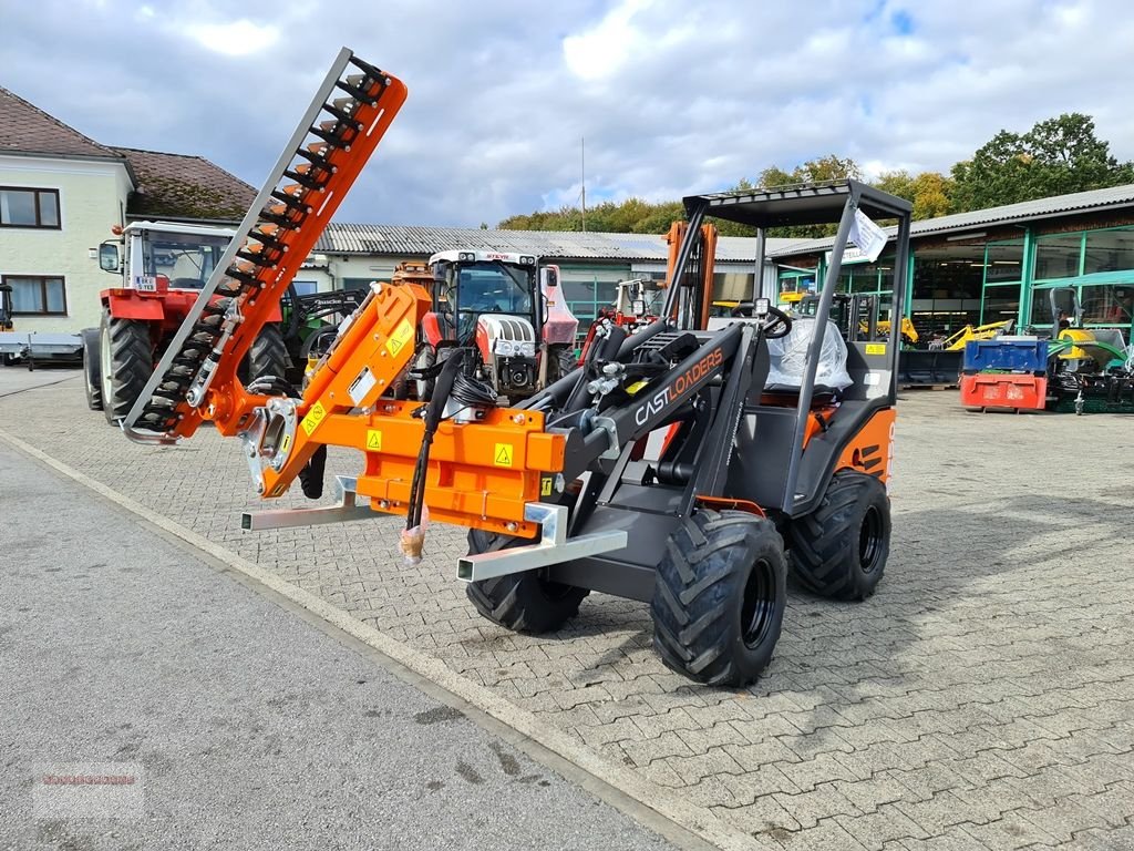 Hoflader Türe ait Cast Group Heckenschneider mit hydr. Schwenkung, Gebrauchtmaschine içinde Tarsdorf (resim 10)