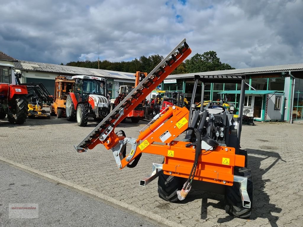 Hoflader Türe ait Cast Group Heckenschneider mit hydr. Schwenkung, Gebrauchtmaschine içinde Tarsdorf (resim 18)