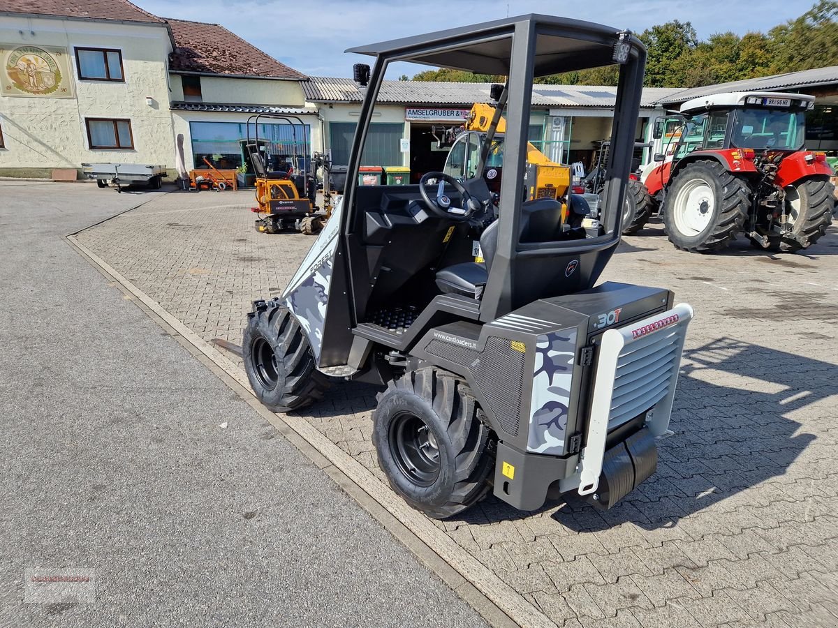 Hoflader typu Cast Group P 30T Forest, Gebrauchtmaschine v Tarsdorf (Obrázek 14)