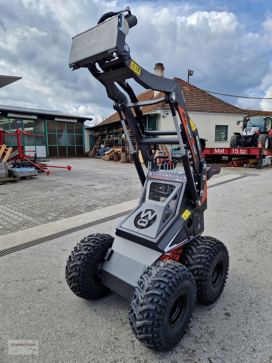 Hoflader des Typs Cast Group SSQ 11 Plus BLACK-EDITION Skidlader, Gebrauchtmaschine in Tarsdorf (Bild 10)