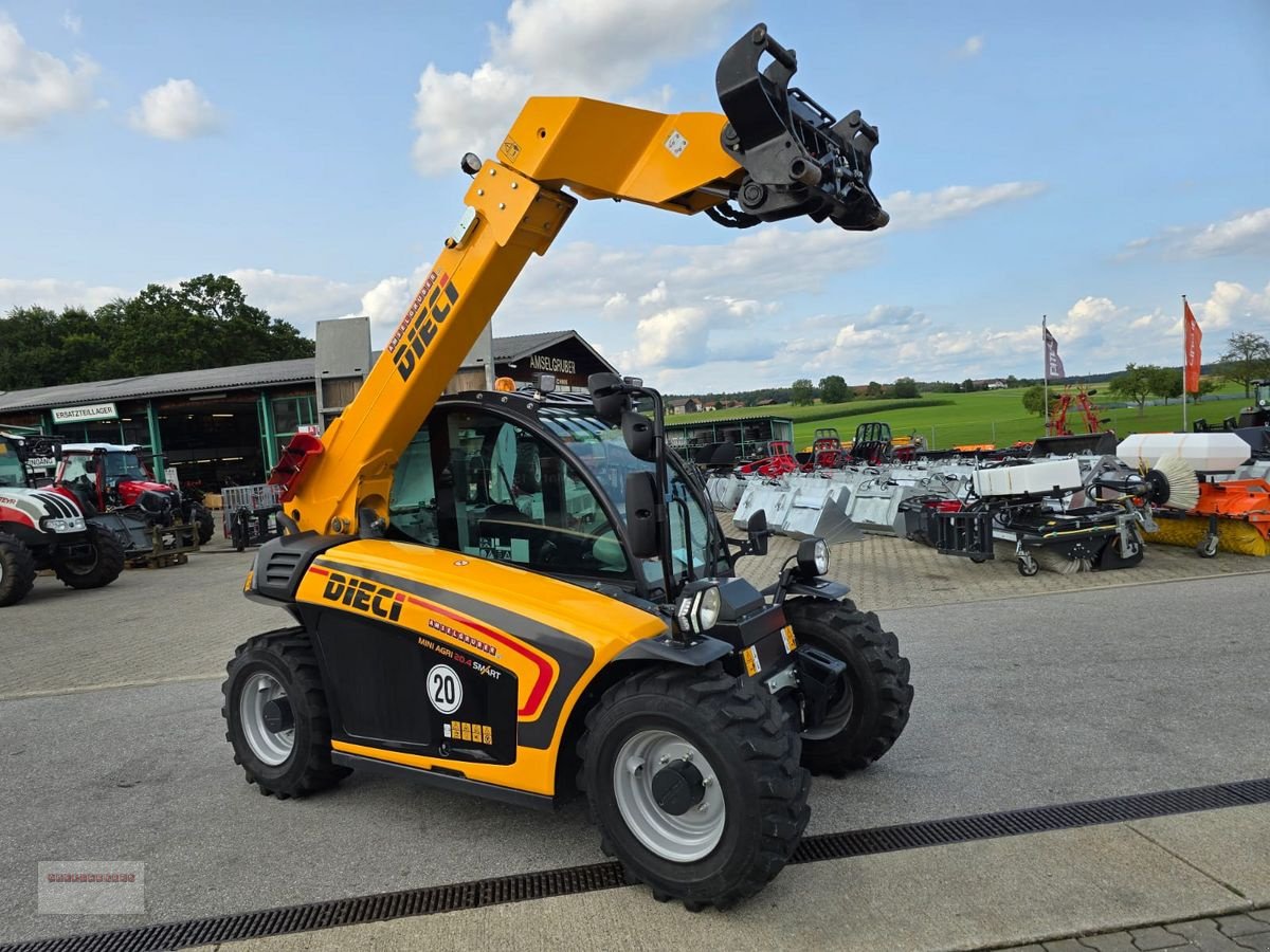 Hoflader du type DIECI 20.4 mit Österreichpaket nur 380 Stunden, Gebrauchtmaschine en Tarsdorf (Photo 30)