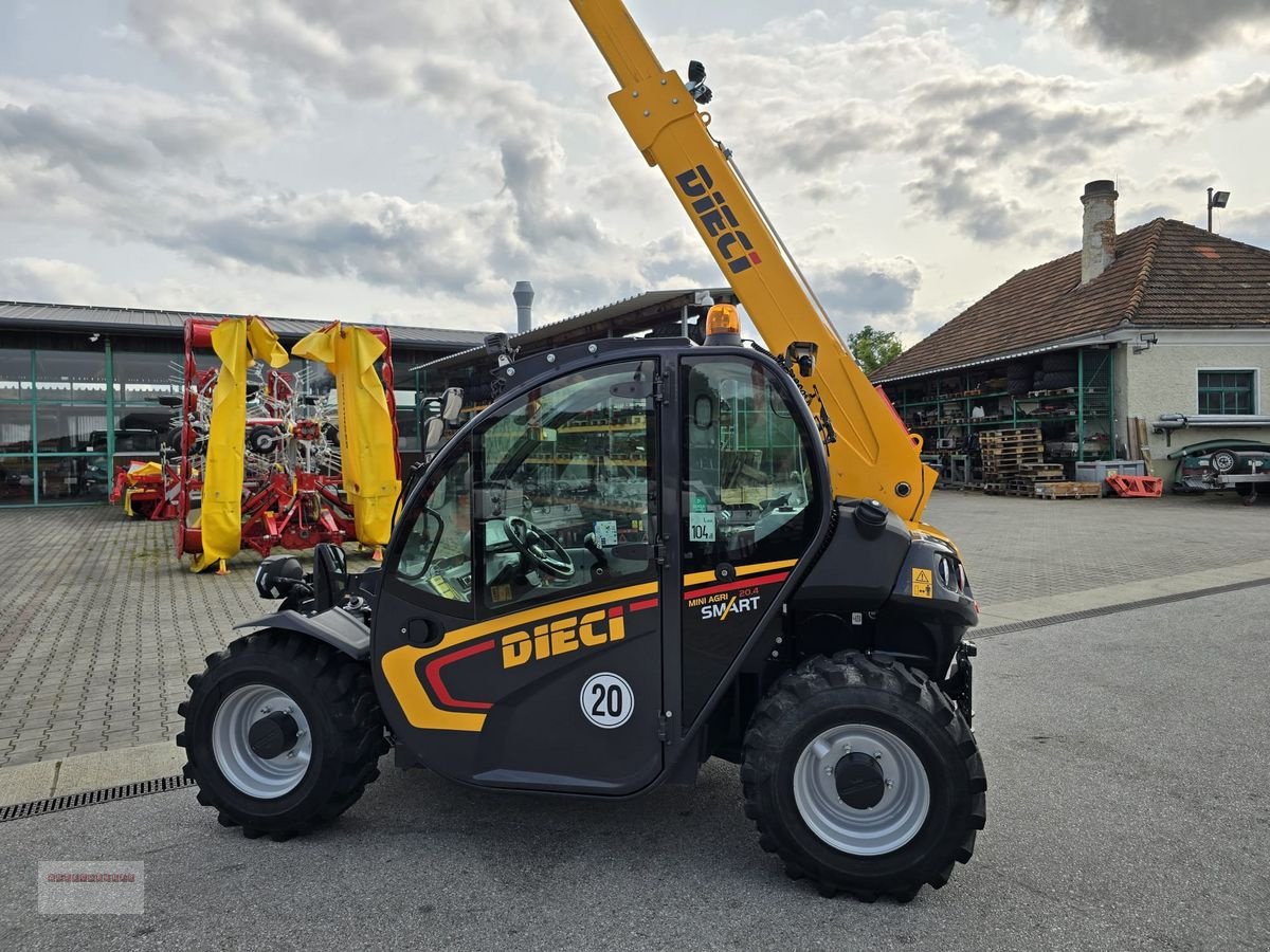 Hoflader van het type DIECI 20.4 mit Österreichpaket nur 380 Stunden, Gebrauchtmaschine in Tarsdorf (Foto 19)