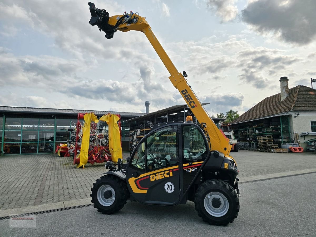 Hoflader typu DIECI 20.4 mit Österreichpaket nur 380 Stunden, Gebrauchtmaschine v Tarsdorf (Obrázek 20)