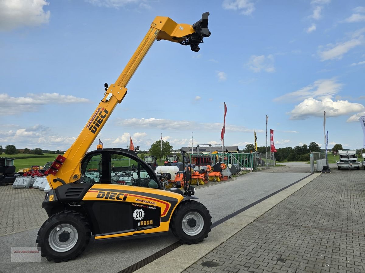 Hoflader типа DIECI 20.4 mit Österreichpaket nur 380 Stunden, Gebrauchtmaschine в Tarsdorf (Фотография 18)